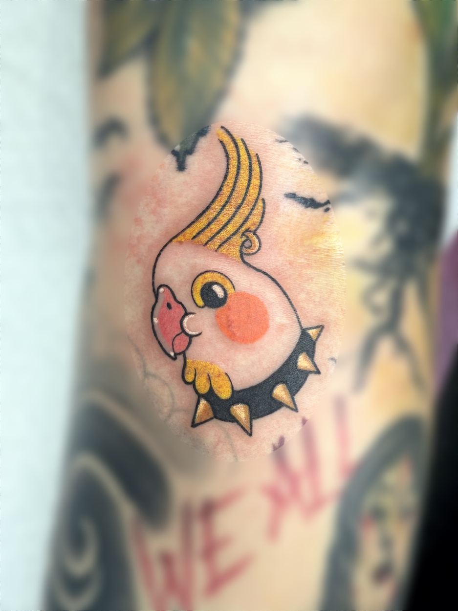  Yolk the parakeet